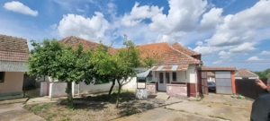 Casă 6 camere, livadă, 3 199 mp, Girisul Negru, Bihor. 42 000 E