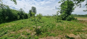 Casă 6 camere, livadă, 3 199 mp, Girisul Negru, Bihor. 42 000 E - imagine 9