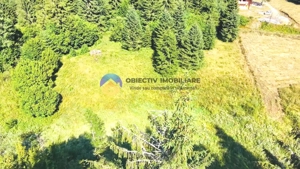 TEREN intravilan  comuna TARCAU - SCHITU - imagine 2