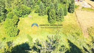 TEREN intravilan  comuna TARCAU - SCHITU - imagine 4