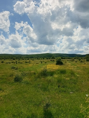 Teren zona liniștită platou Basov 3 km de Bascov  - imagine 2