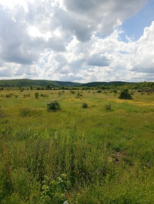 Teren zona liniștită platou Basov 3 km de Bascov  - imagine 8