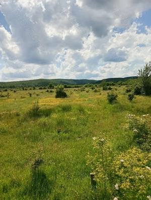 Teren zona liniștită platou Basov 3 km de Bascov  - imagine 5