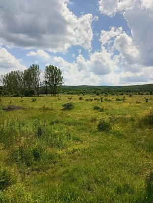 Teren zona liniștită platou Basov 3 km de Bascov  - imagine 3