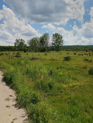 Teren zona liniștită platou Basov 3 km de Bascov  - imagine 4