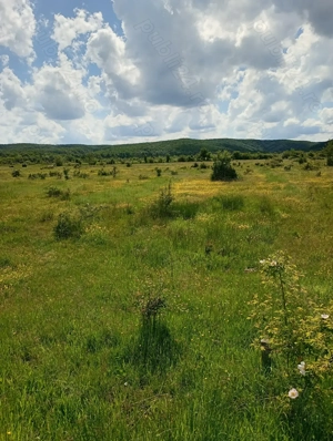Teren zona liniștită platou Basov 3 km de Bascov  - imagine 6