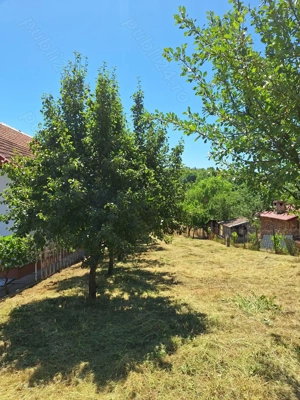 Vând teren extravilan  Nadăș - imagine 2