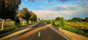 Teren pentru investitii Carligele