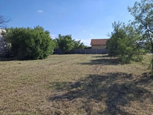 Tai tund iarba defrișări ieftin