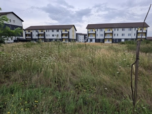 Tai tund iarba defrișări ieftin - imagine 3