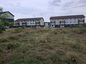 Tai tund iarba defrișări ieftin - imagine 2