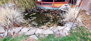 Locuinta ideala pentru familie sau investitie – 200 mp utili, teren 1200 mp, Centru Alba Iulia - imagine 12