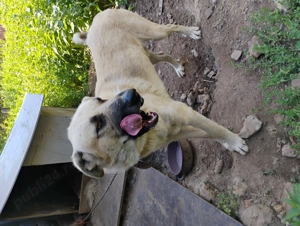 Vind kangal tinar..1 an jumate 