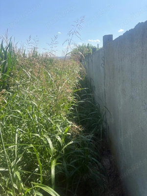 Teren de vanzare - Holboca Iasi