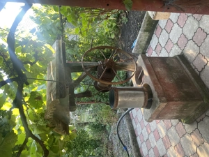 Casa 4 camere, Jamu Mare, Timis - imagine 8