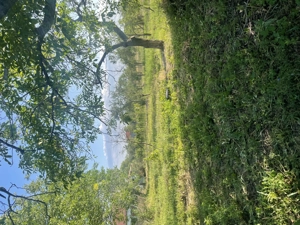 Casa 4 camere, Jamu Mare, Timis - imagine 9