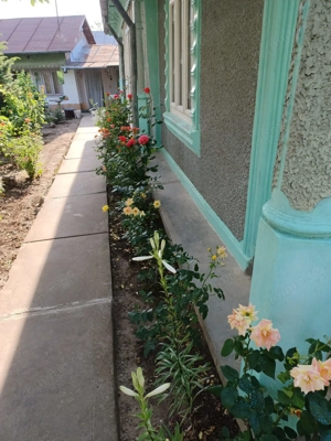 Vând casa comuna Cudalbi