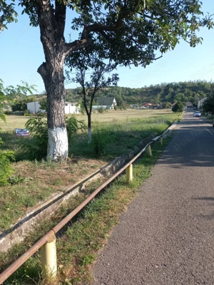 Teren intravilan Berca - imagine 5