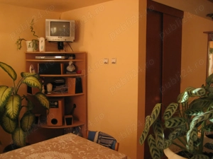 apartament ALUNIS - imagine 6