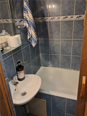 Garsoniera - Calea Buziasului - centrala proprie - imagine 7