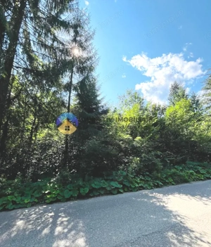 Teren TARCǍU - SCHITU,judetul NEAMȚ - imagine 2