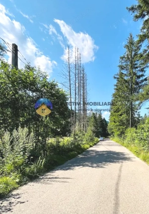 Teren TARCǍU - SCHITU,judetul NEAMȚ - imagine 3