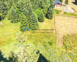 Teren TARCǍU - SCHITU,judetul NEAMȚ - imagine 4