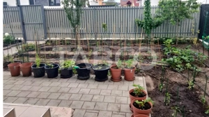 Casa individuala 4 camere P+1E 118 mp 322 mp parcela teren Cisnadie - imagine 17