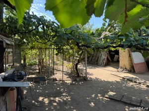 Casa de Vânzare Bailesti - imagine 4