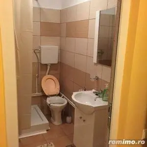 Apartament 1 camera in zona Calea Buziasului 