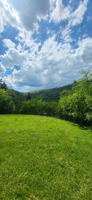 teren si casa  - imagine 3