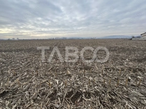 Teren intravilan 5800 mp cu potential de investitie  - imagine 2