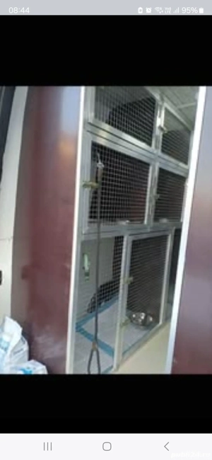 custi pentru transport animale vii  - imagine 3