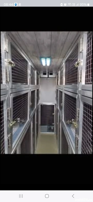 custi pentru transport animale vii  - imagine 2