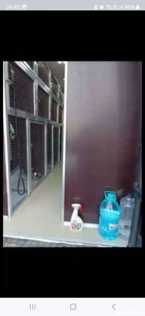 custi pentru transport animale vii 