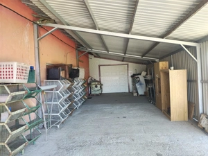 Hala industriala de vanzare sau inchiriere– Misca - judetul Bihor - 972 mp construiti  -Teren 12538  - imagine 16