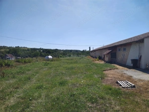 Hala industriala de vanzare sau inchiriere– Misca - judetul Bihor - 972 mp construiti  -Teren 12538  - imagine 10