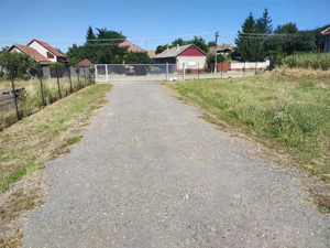 Hala industriala de vanzare sau inchiriere– Misca - judetul Bihor - 972 mp construiti  -Teren 12538  - imagine 5