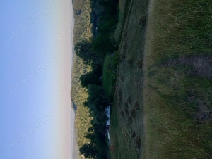 Teren de vânzare Telega