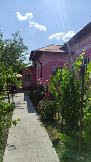 casa alexandria - imagine 2