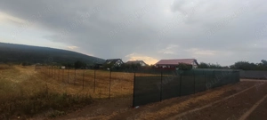 Oază de liniște și natură: Teren intravilan de 940 mp în Hemeiuș, Bacău  - imagine 2