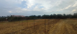 Oază de liniște și natură: Teren intravilan de 940 mp în Hemeiuș, Bacău  - imagine 7