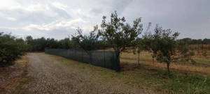 Oază de liniște și natură: Teren intravilan de 940 mp în Hemeiuș, Bacău  - imagine 6