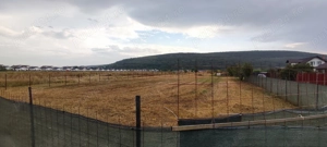 Oază de liniște și natură: Teren intravilan de 940 mp în Hemeiuș, Bacău  - imagine 3