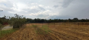 Oază de liniște și natură: Teren intravilan de 940 mp în Hemeiuș, Bacău  - imagine 8