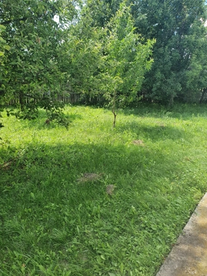 Proprietar vand casa cu teren  in sat Buicesti, negociabil, judetul Mehedinti - imagine 10