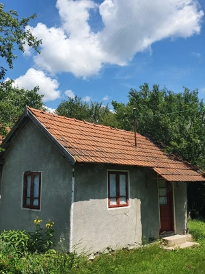 Proprietar vand casa in sat Buicesti, comuna Butoiesti, jud. Mehedinti - imagine 9