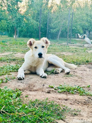 asia centrala  - imagine 3 asia centrala  - imagine 3