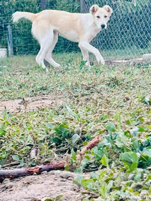 asia centrala  - imagine 2 asia centrala  - imagine 2