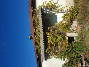 Casă și teren de vânzarea. 